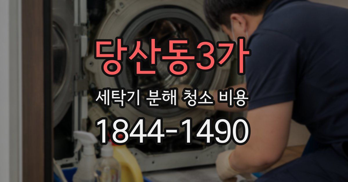 당산동3가 세탁기 분해 청소 비용