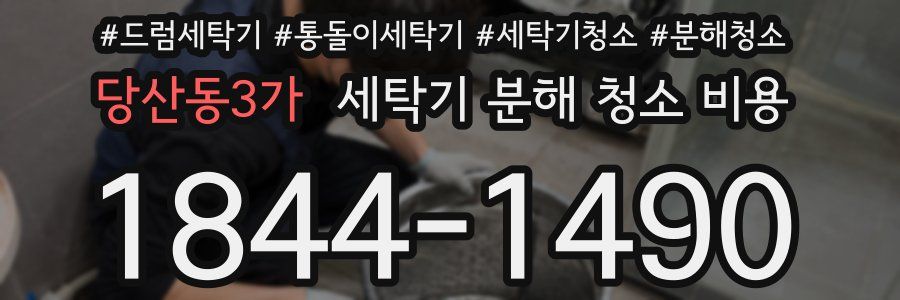 당산동3가 세탁기 분해 청소 비용