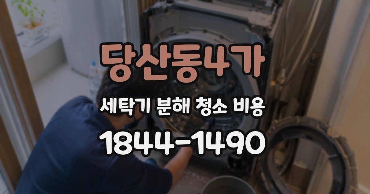 당산동4가 세탁기 분해 청소 비용