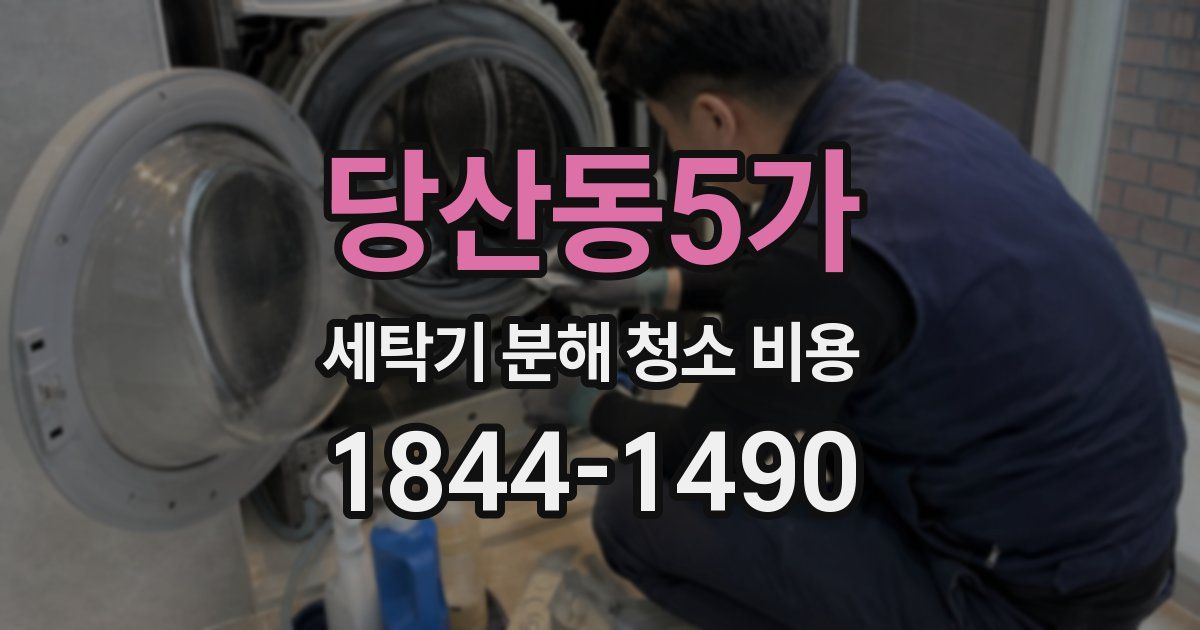 당산동5가 세탁기 분해 청소 비용