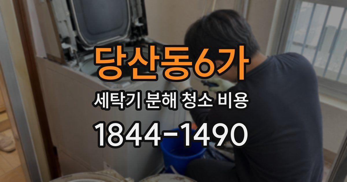 당산동6가 세탁기 분해 청소 비용