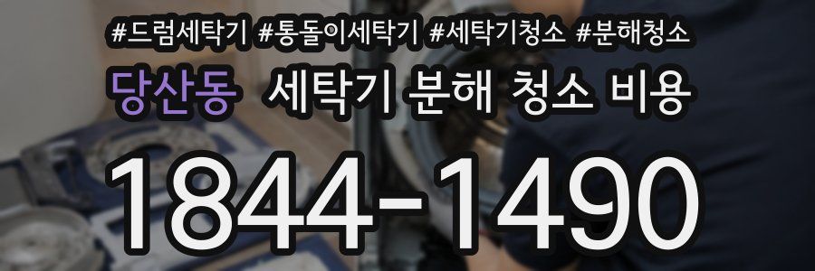 당산동 세탁기 분해 청소 비용