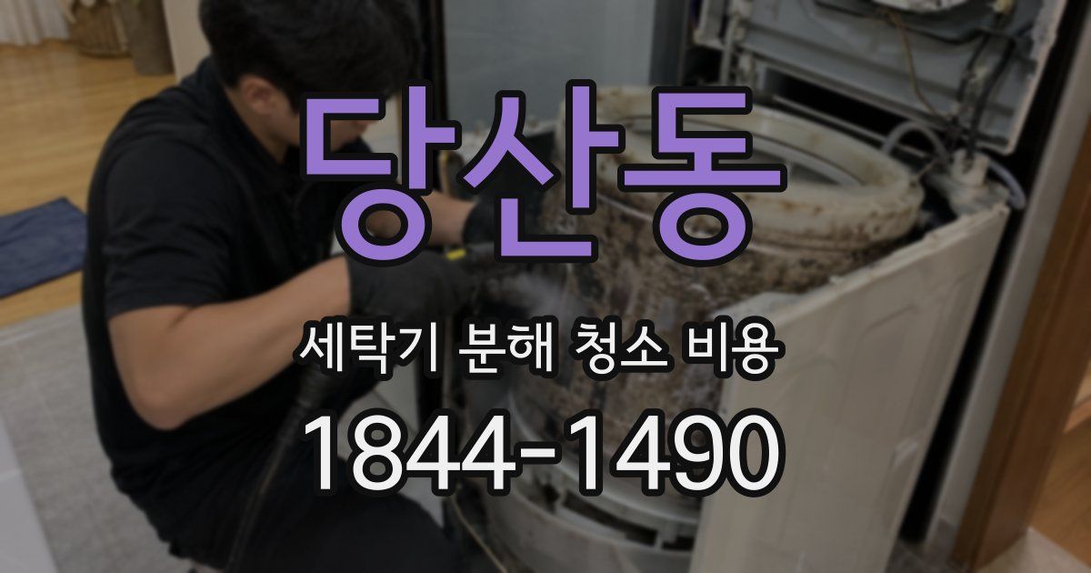 당산동 세탁기 분해 청소 비용