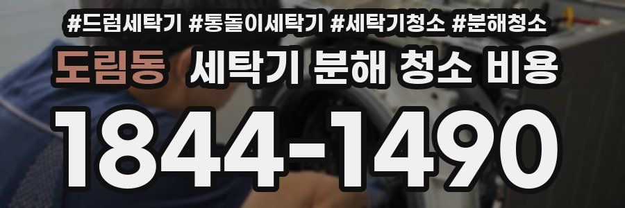 도림동 세탁기 분해 청소 비용
