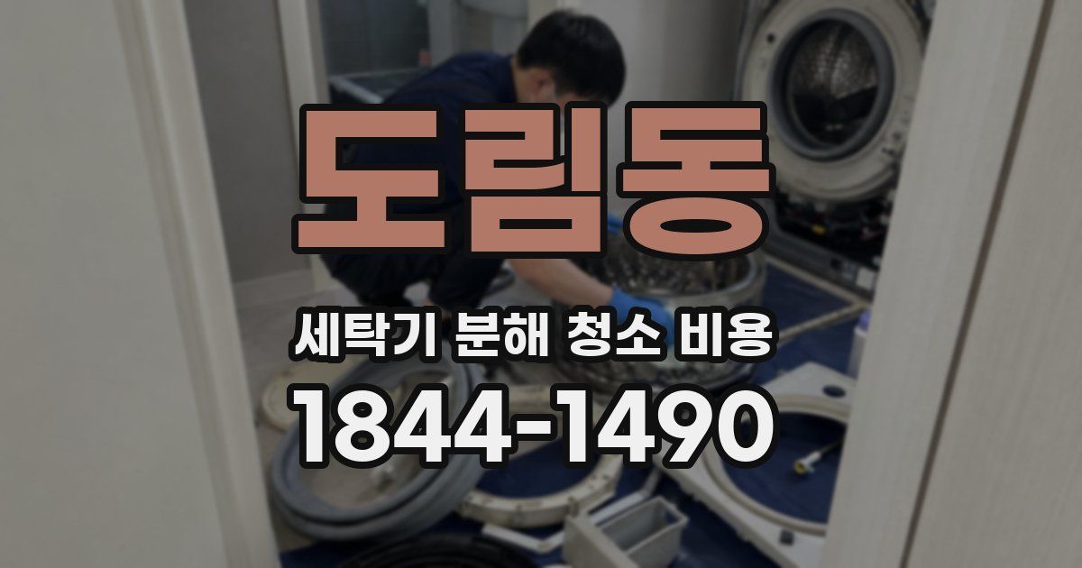 도림동 세탁기 분해 청소 비용