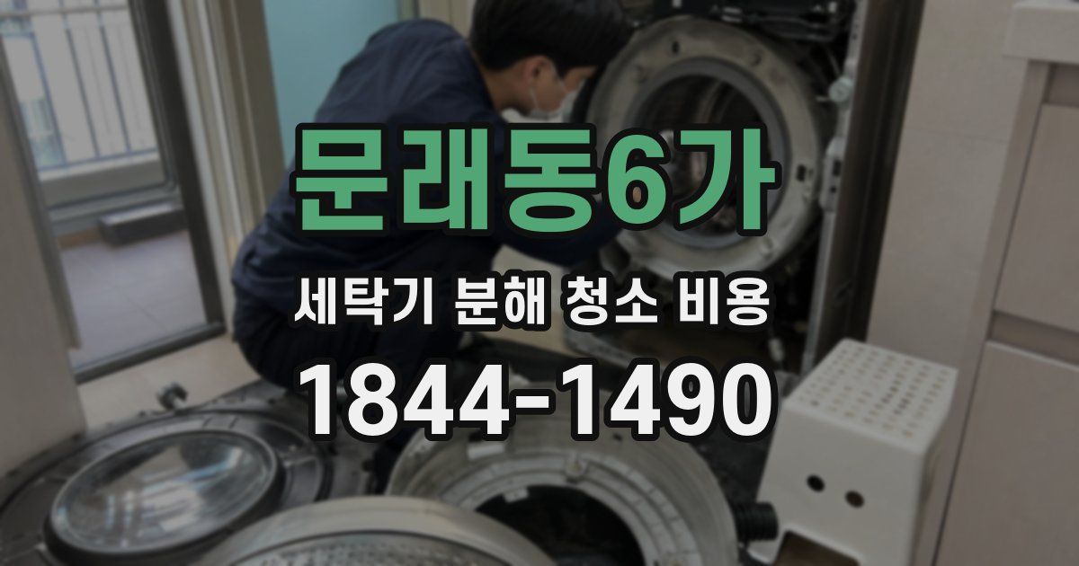 문래동6가 세탁기 분해 청소 비용