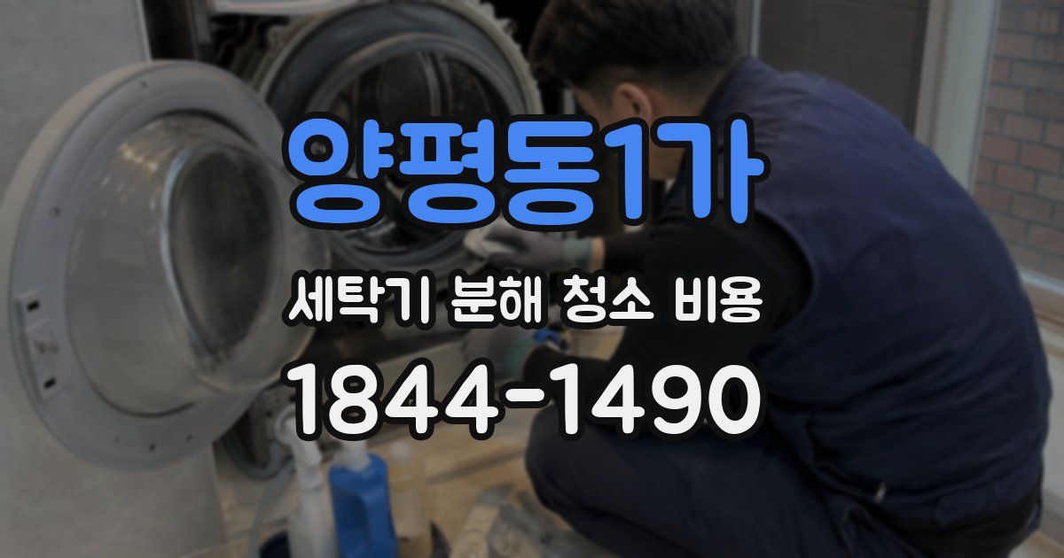 양평동1가 세탁기 분해 청소 비용