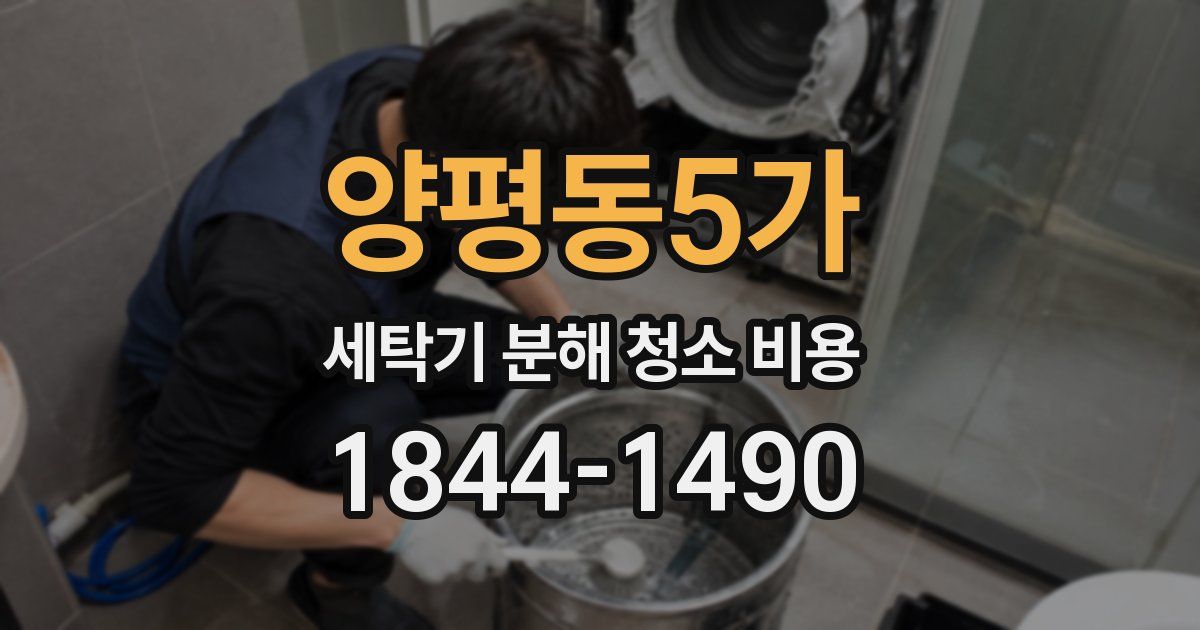 양평동5가 세탁기 분해 청소 비용