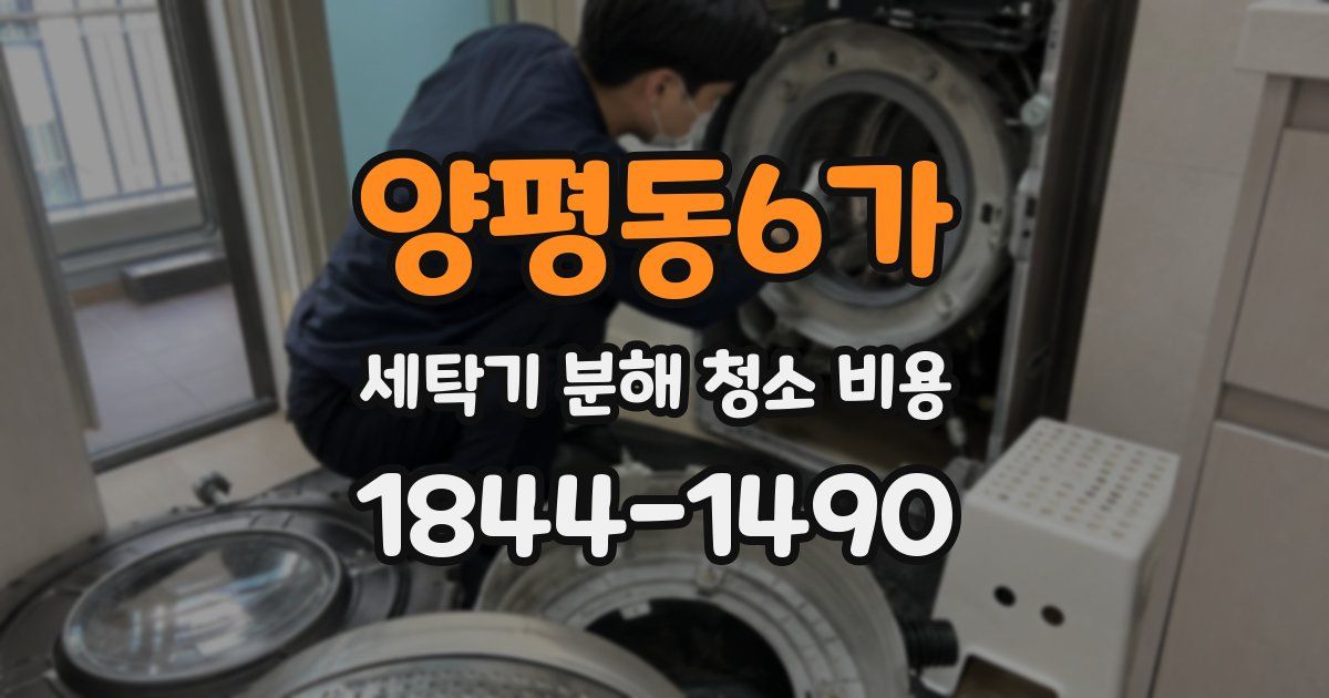 양평동6가 세탁기 분해 청소 비용