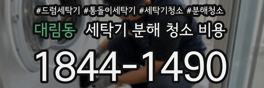 대림동 세탁기 분해 청소 비용