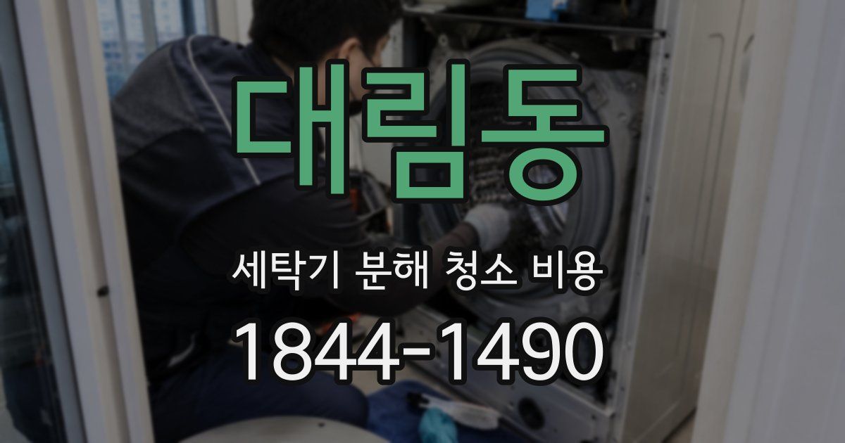 대림동 세탁기 분해 청소 비용