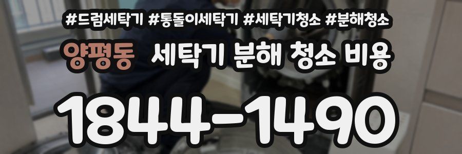 양평동 세탁기 분해 청소 비용