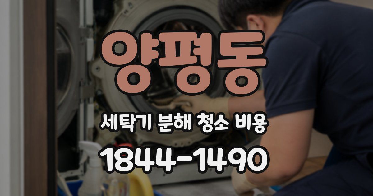 양평동 세탁기 분해 청소 비용