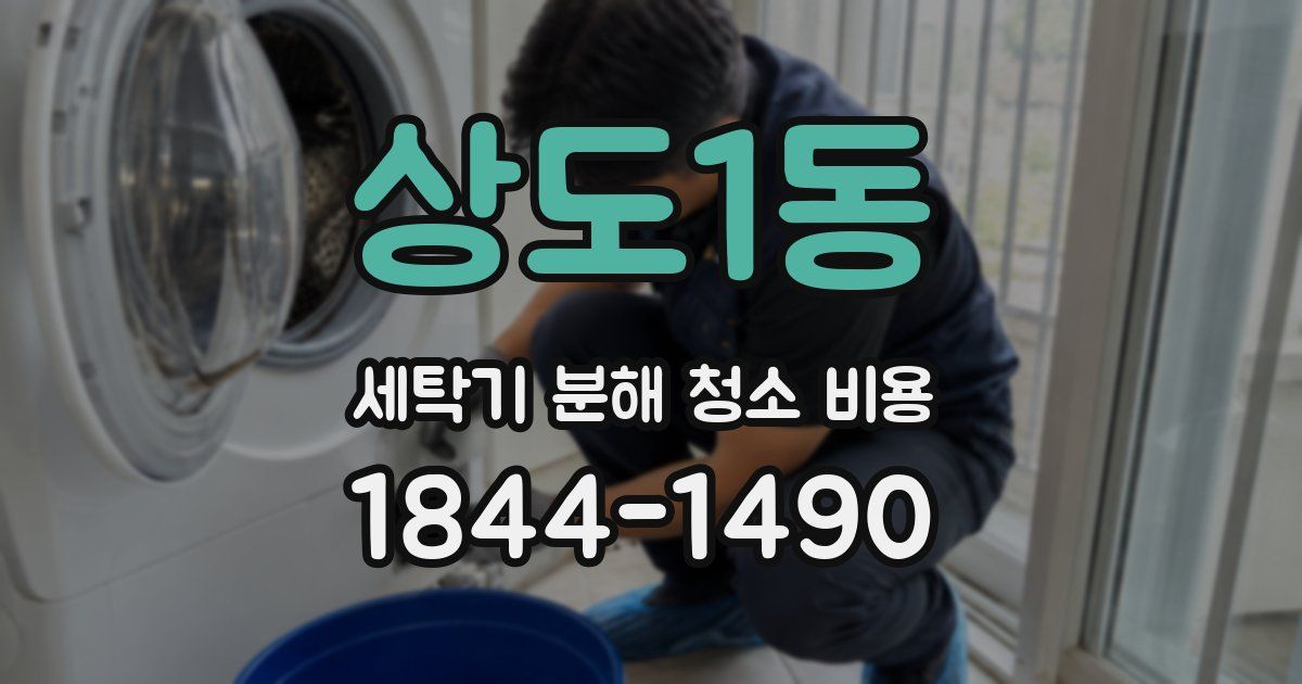상도1동 세탁기 분해 청소 비용