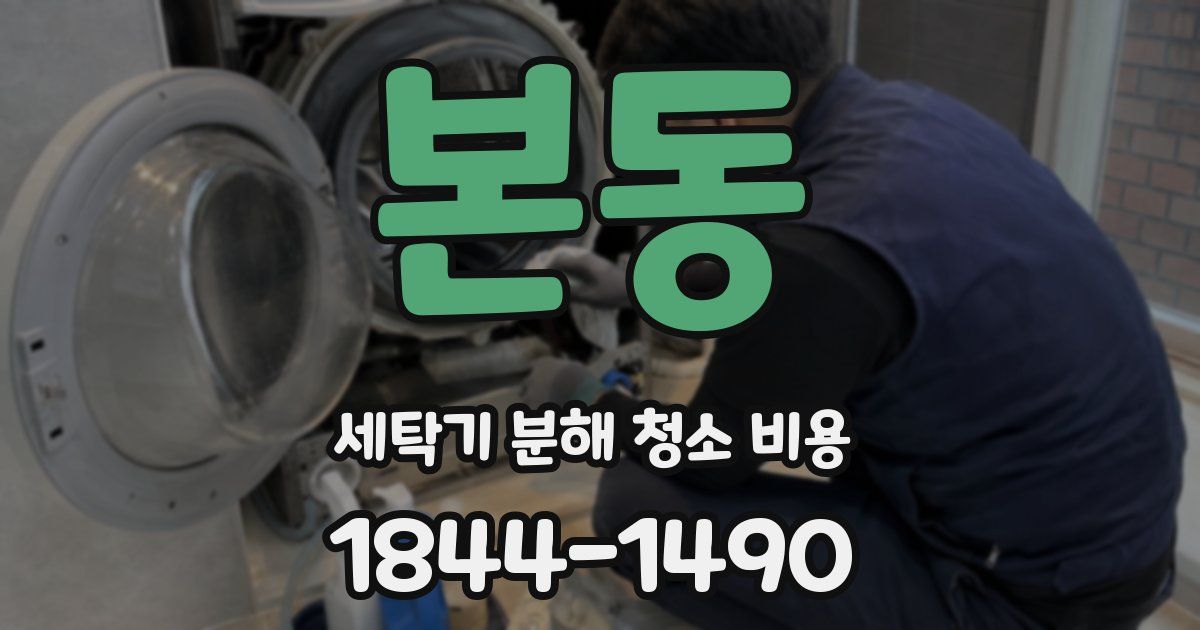 본동 세탁기 분해 청소 비용