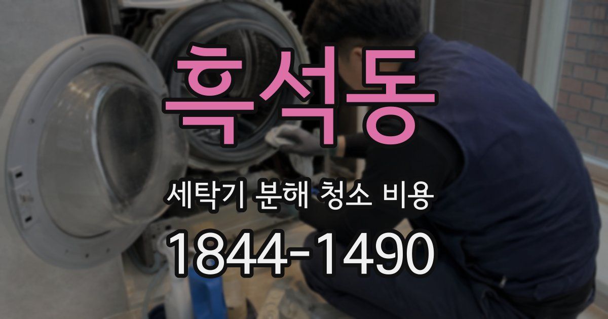 흑석동 세탁기 분해 청소 비용
