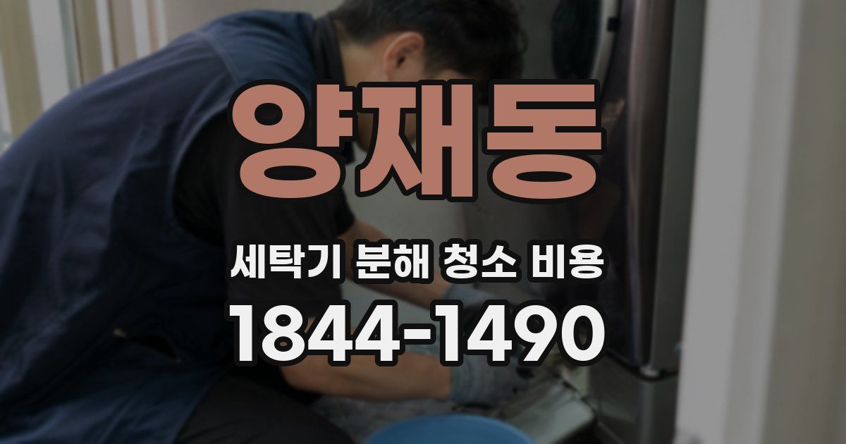양재동 세탁기 분해 청소 비용