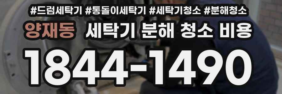 양재동 세탁기 분해 청소 비용