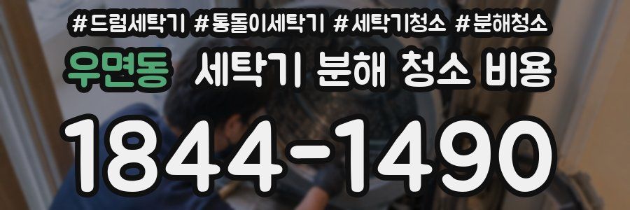 우면동 세탁기 분해 청소 비용
