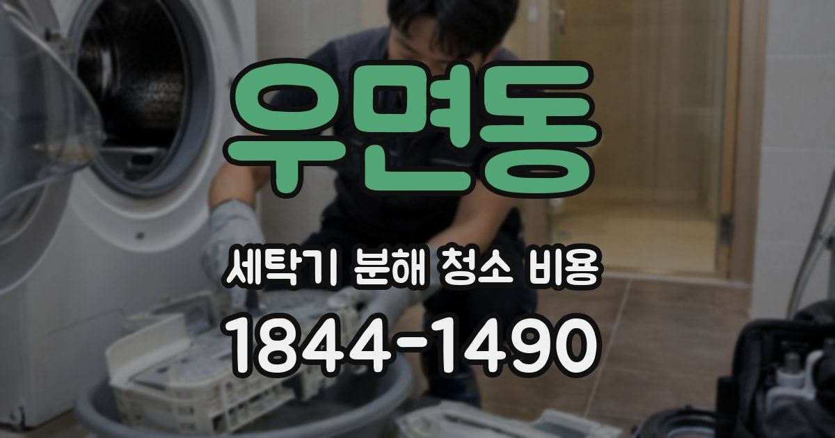 우면동 세탁기 분해 청소 비용