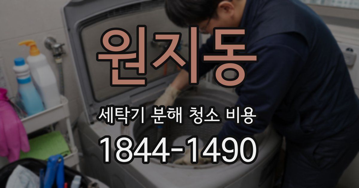 원지동 세탁기 분해 청소 비용