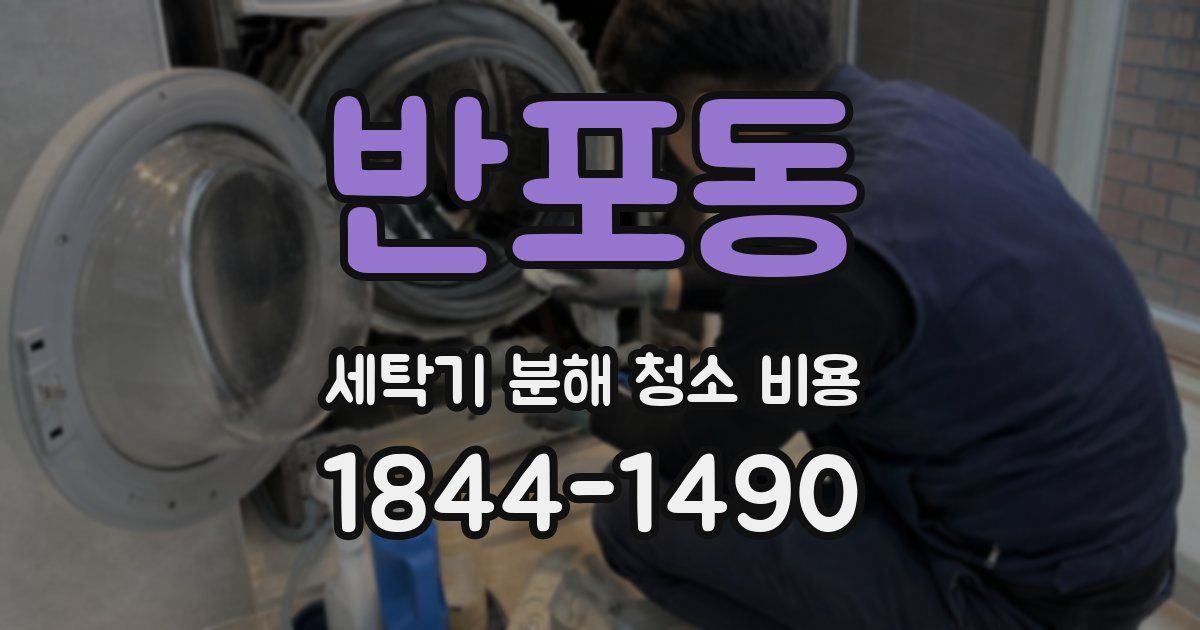 반포동 세탁기 분해 청소 비용