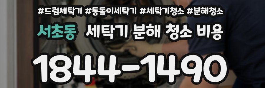 서초동 세탁기 분해 청소 비용