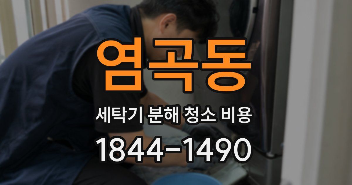 염곡동 세탁기 분해 청소 비용