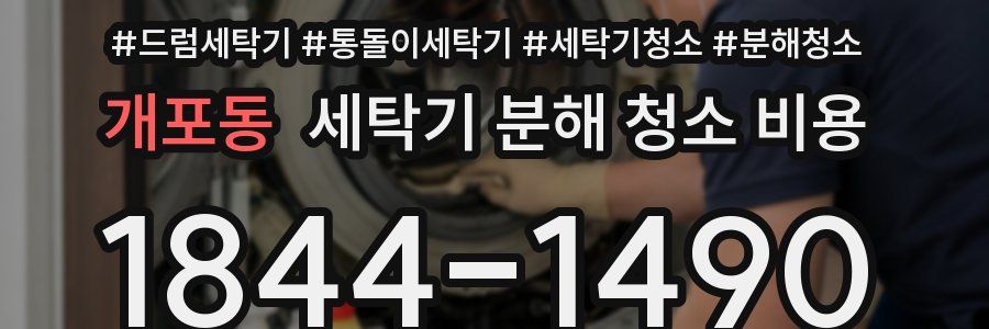개포동 세탁기 분해 청소 비용
