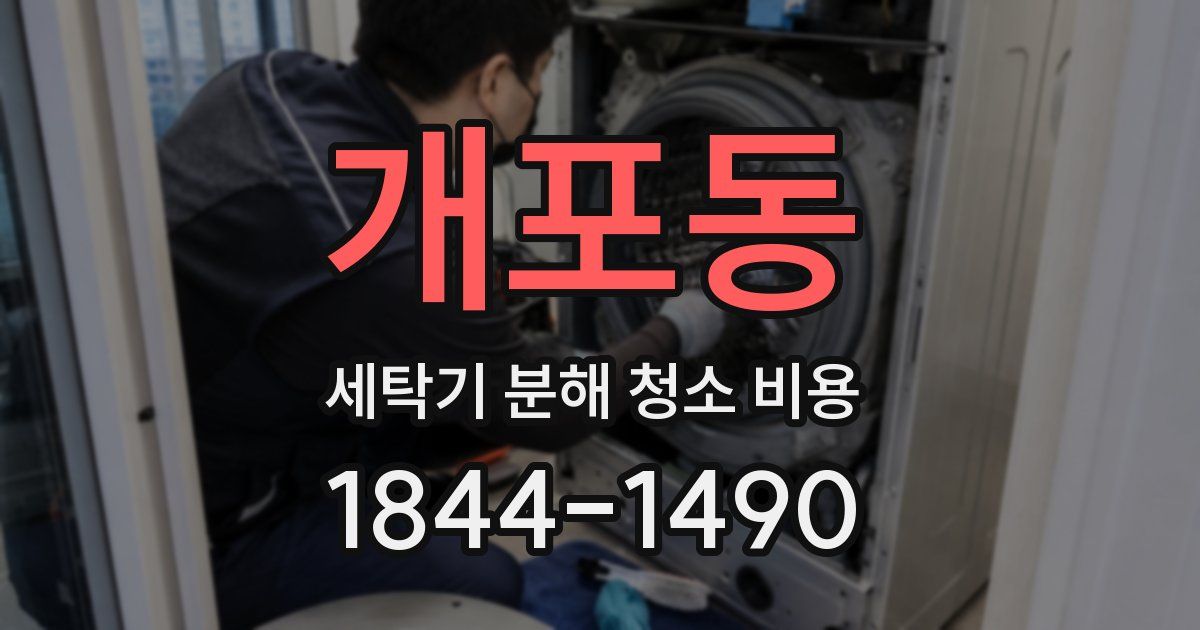 개포동 세탁기 분해 청소 비용