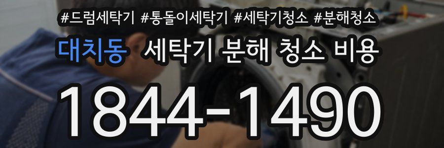 대치동 세탁기 분해 청소 비용