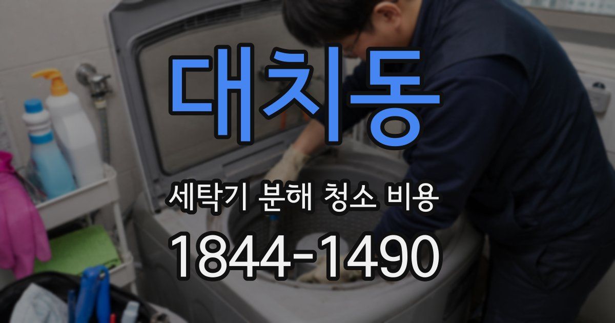 대치동 세탁기 분해 청소 비용