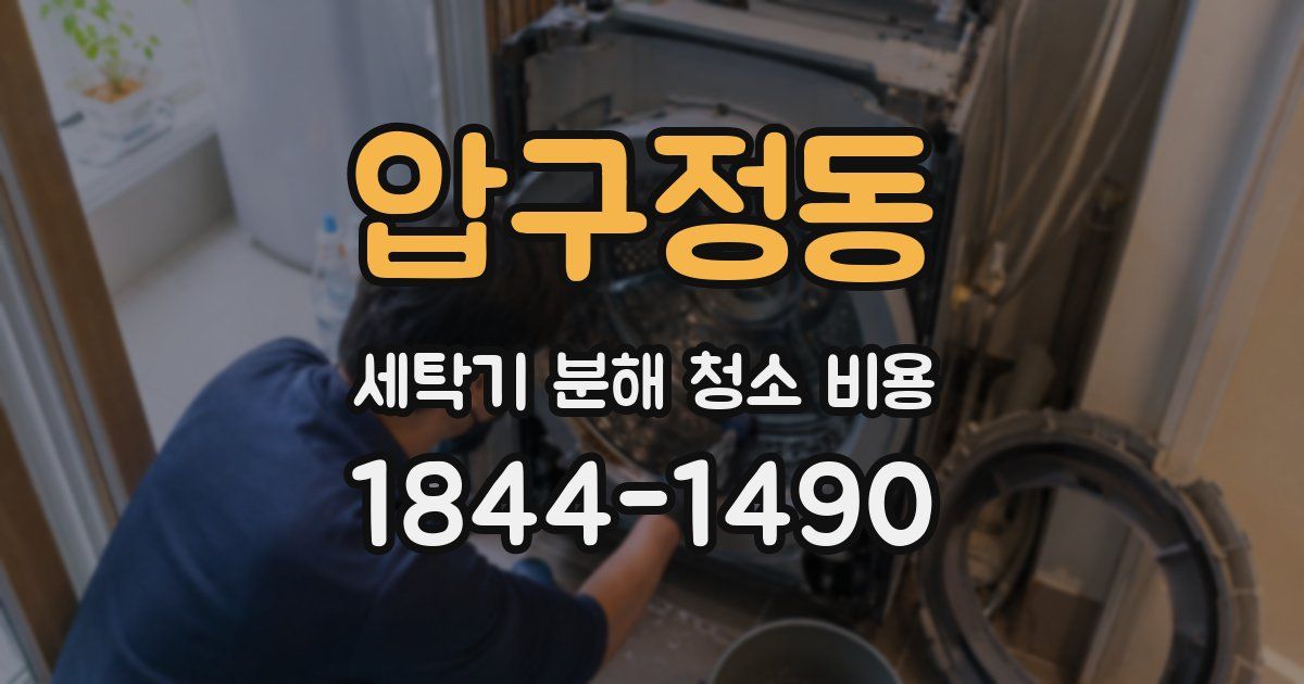 압구정동 세탁기 분해 청소 비용