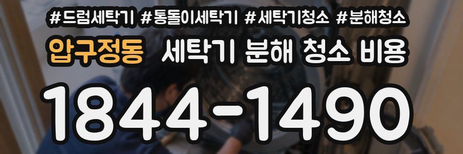 압구정동 세탁기 분해 청소 비용