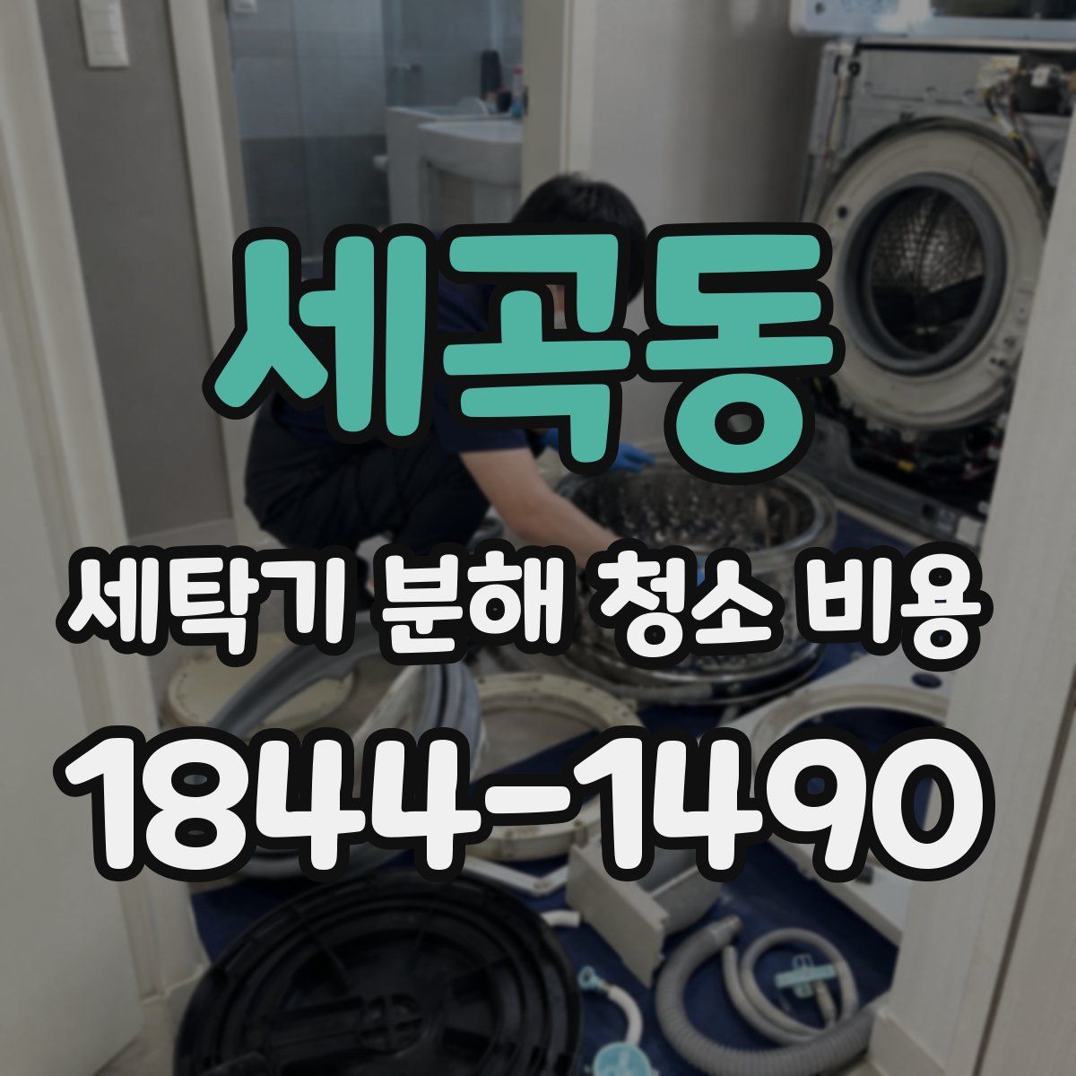 세곡동 세탁기 분해 청소 비용