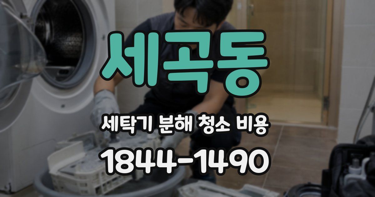세곡동 세탁기 분해 청소 비용