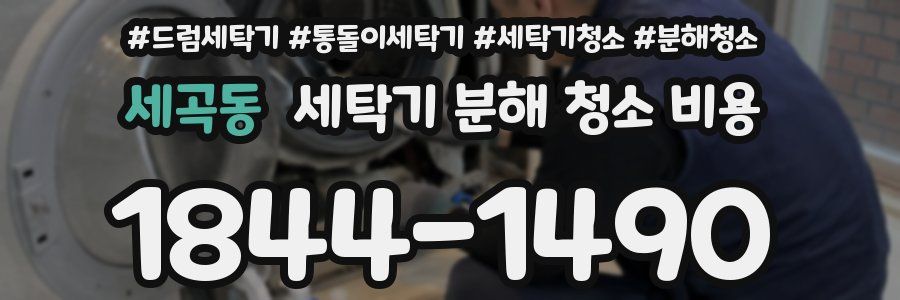 세곡동 세탁기 분해 청소 비용