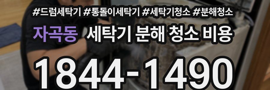 자곡동 세탁기 분해 청소 비용