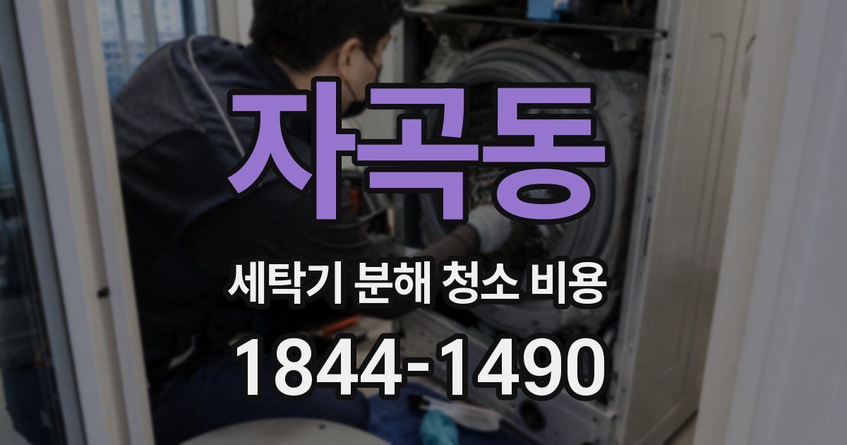 자곡동 세탁기 분해 청소 비용