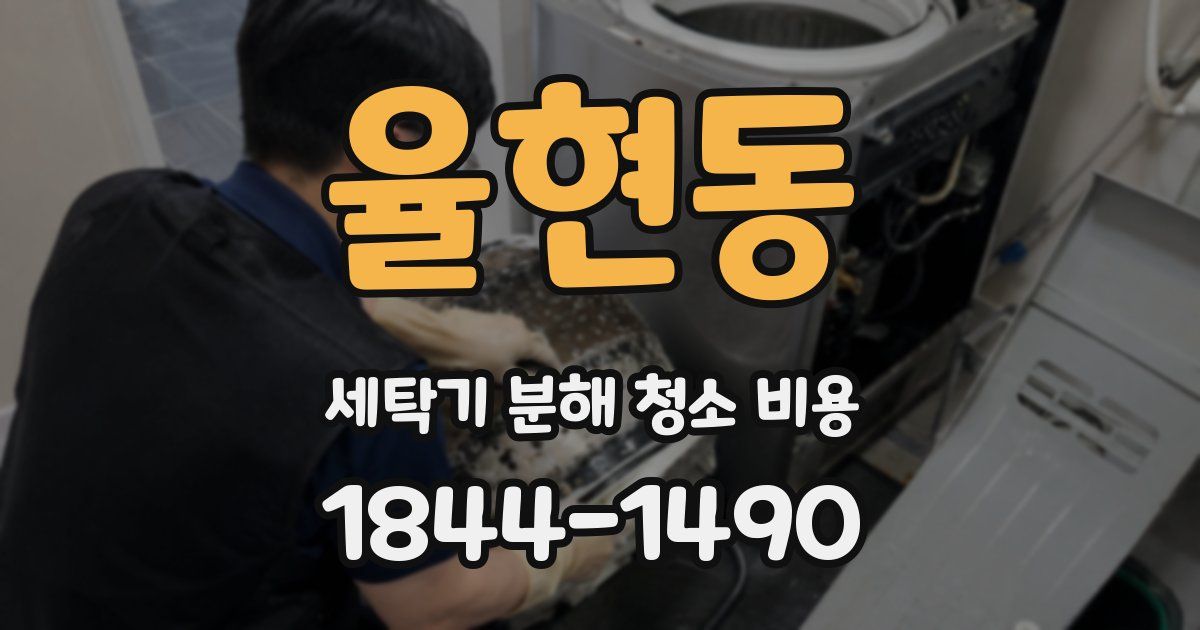율현동 세탁기 분해 청소 비용