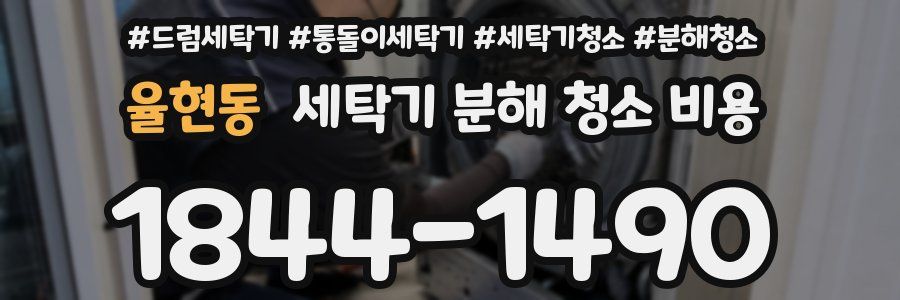 율현동 세탁기 분해 청소 비용