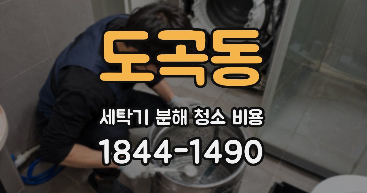 도곡동 세탁기 분해 청소 비용