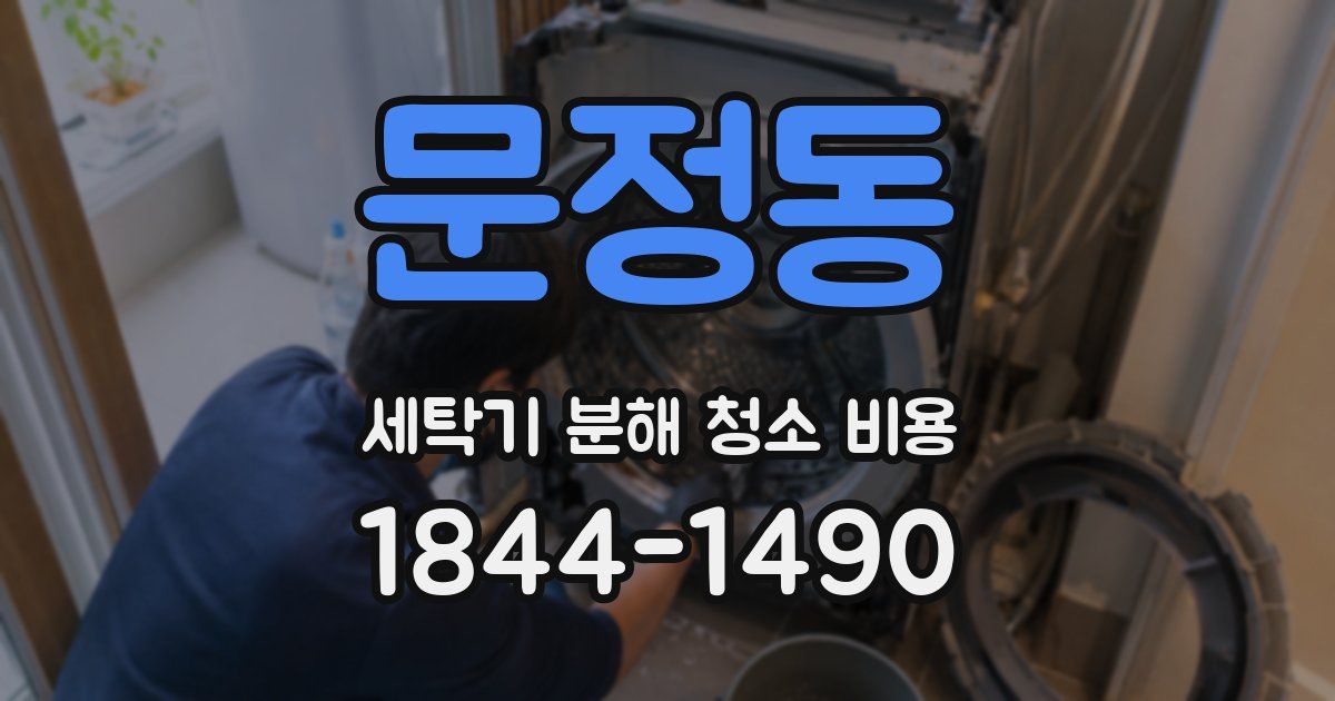 문정동 세탁기 분해 청소 비용
