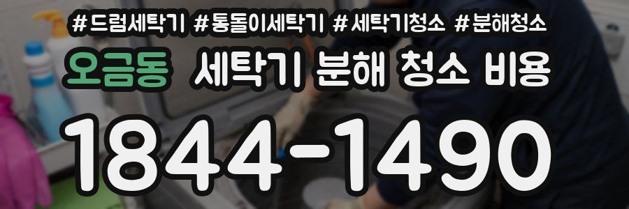오금동 세탁기 분해 청소 비용