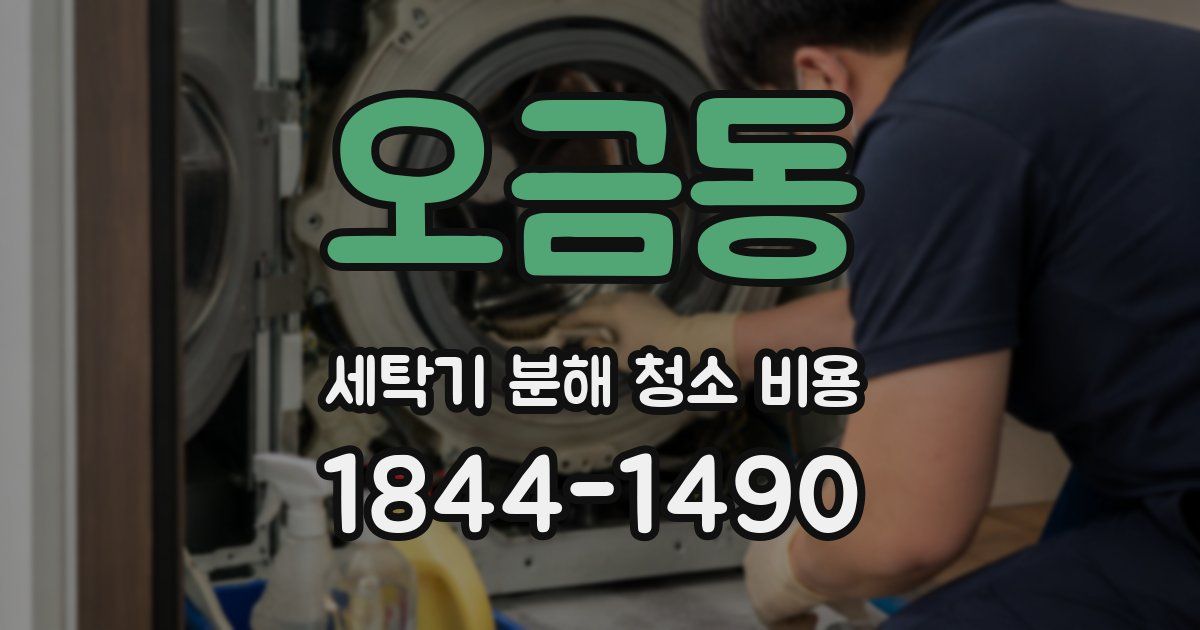 오금동 세탁기 분해 청소 비용