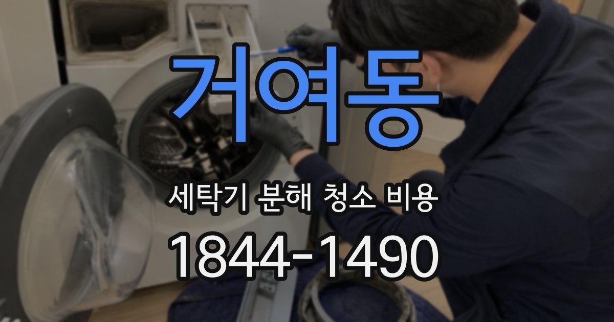 거여동 세탁기 분해 청소 비용