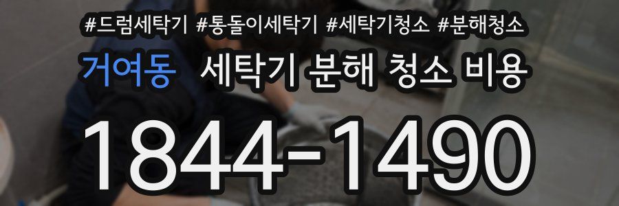 거여동 세탁기 분해 청소 비용