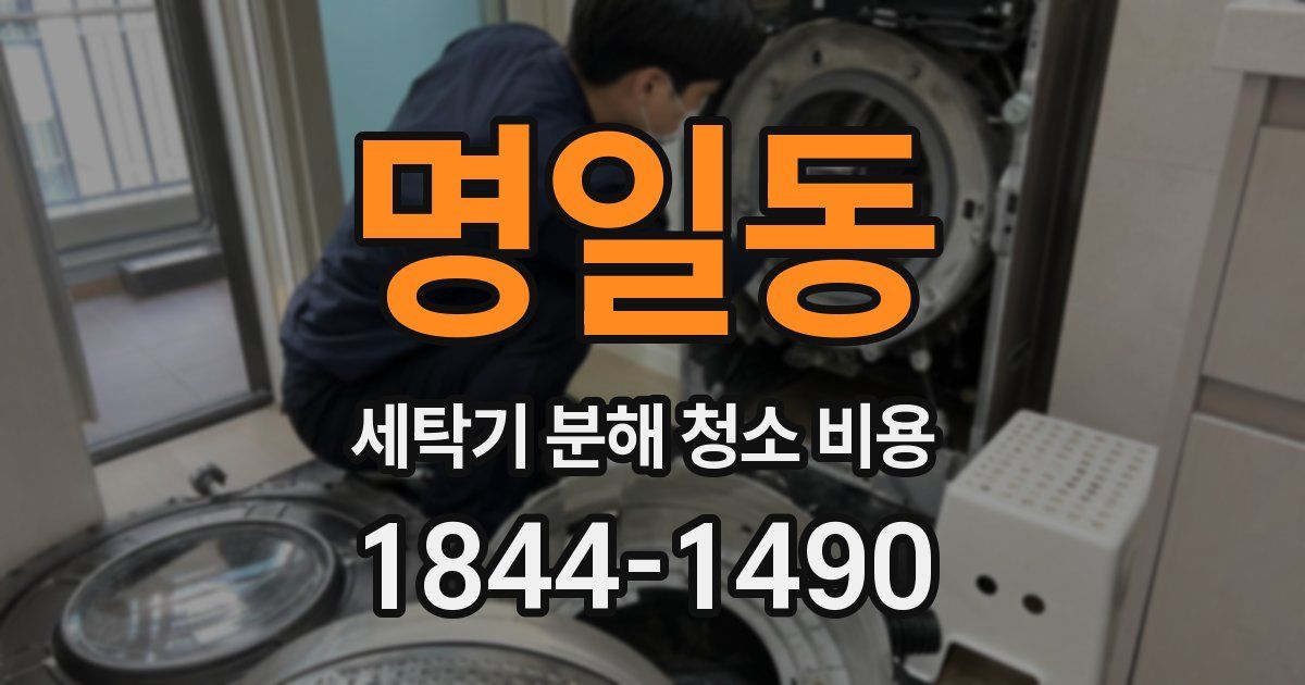 명일동 세탁기 분해 청소 비용