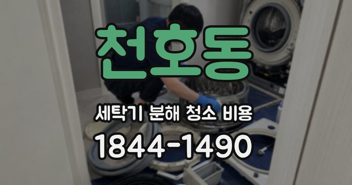 천호동 세탁기 분해 청소 비용
