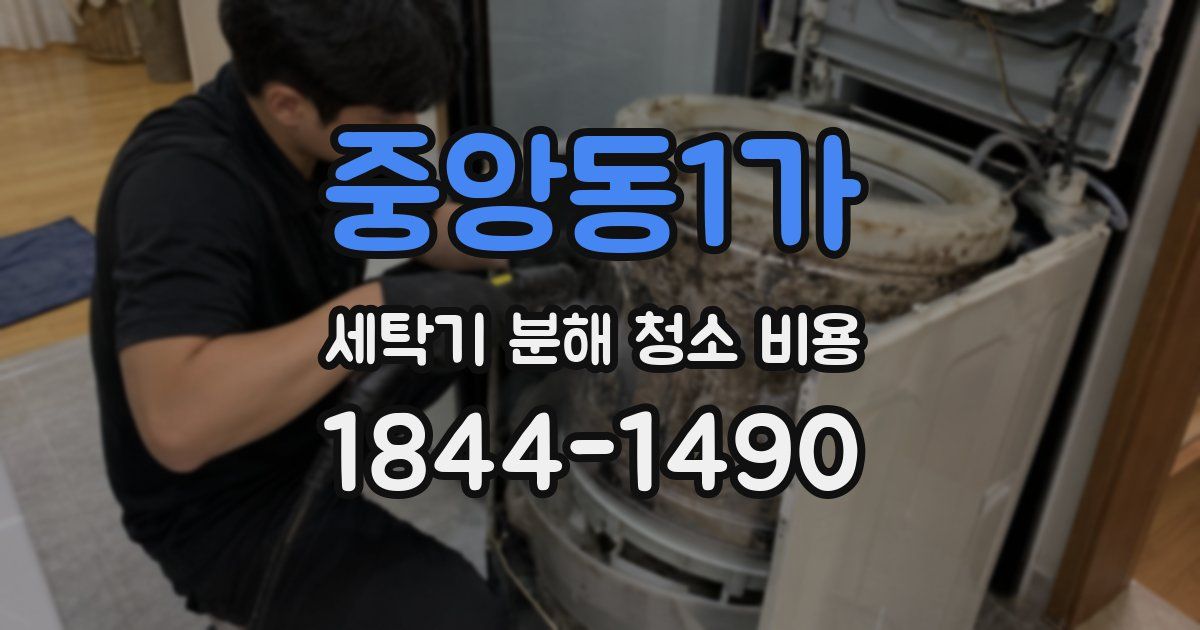 중앙동1가 세탁기 분해 청소 비용